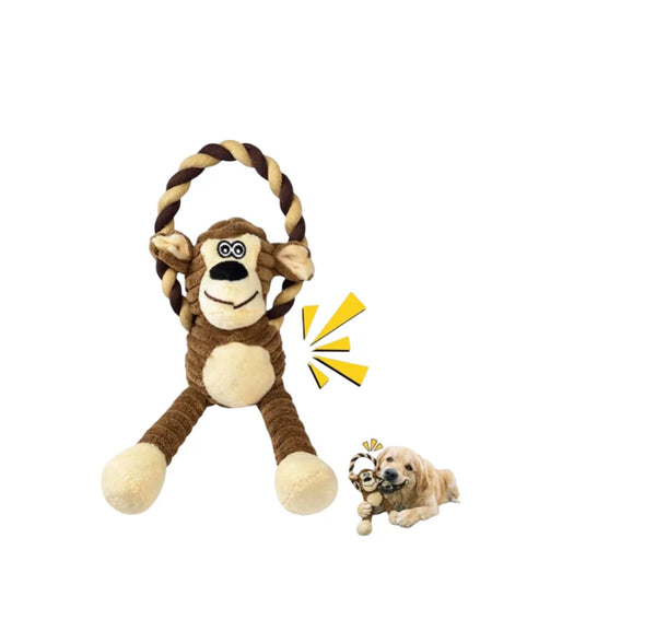 The Monkey