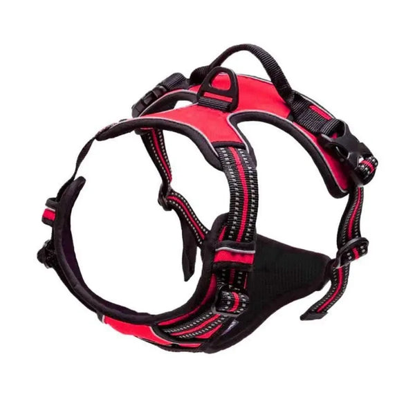 The Daily Harness