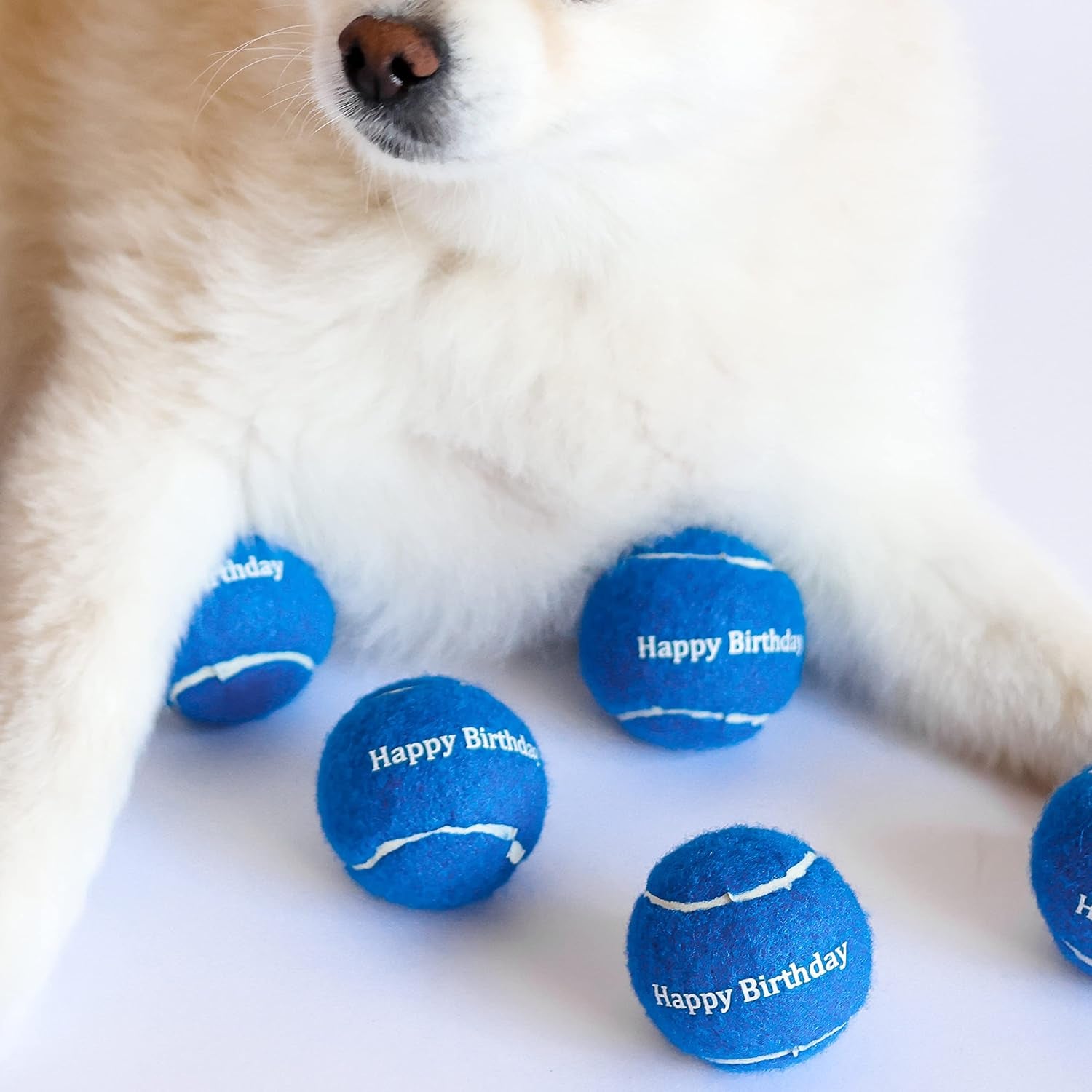 Blue Happy Birthday Dog Tennis Balls