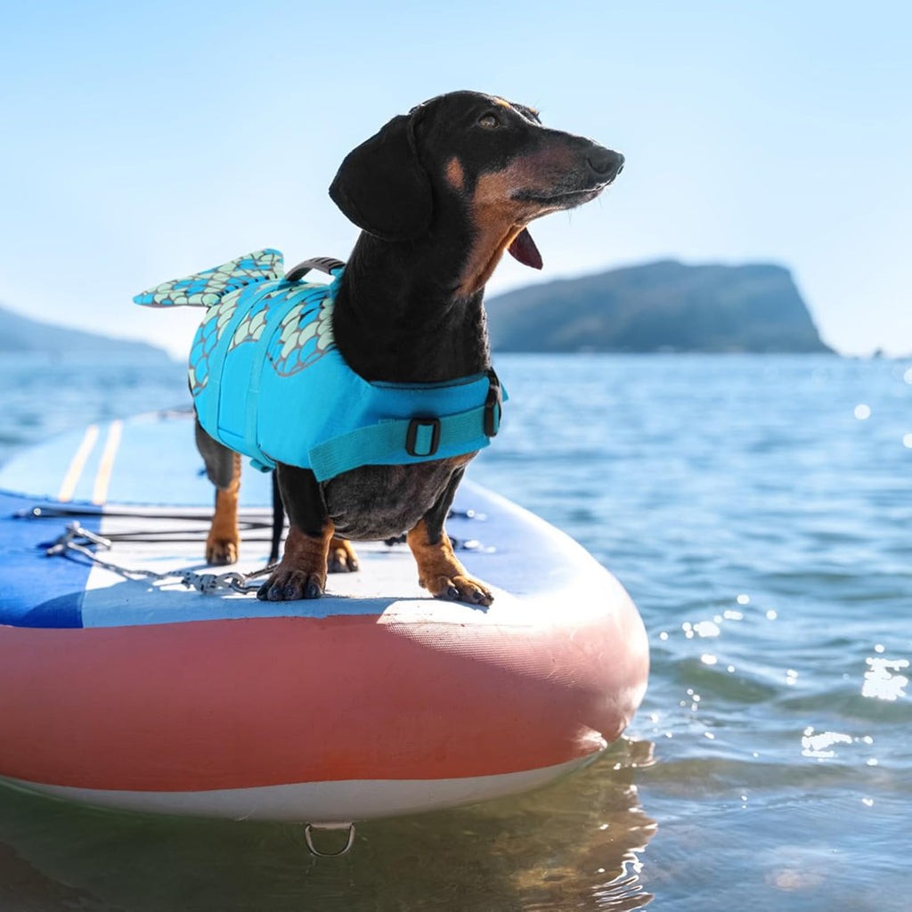 Mermaid Dog Life Jacket, Dog Life Vest for Swimming, Blue, XS