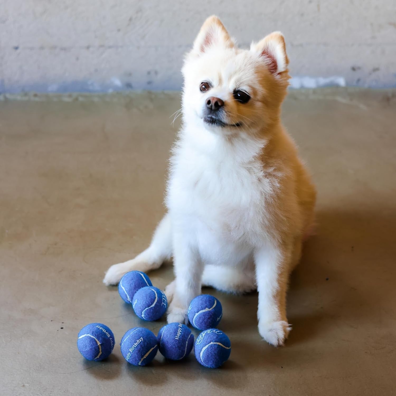 Blue Happy Birthday Dog Tennis Balls
