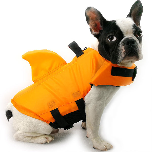 Beach Day