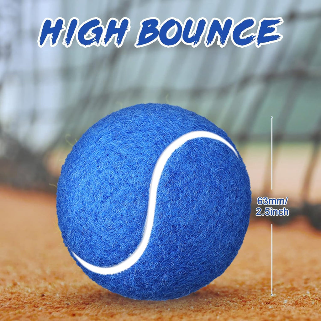 24 Pack Tennis Balls Bulk, Standard Pressure Balls for Training Playing Player Beginner Youth, Exercise Ball for Pet Dog, 2.5 Inch(Blue)