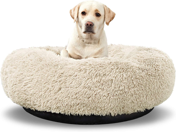 Cloud Nine Calming Bed