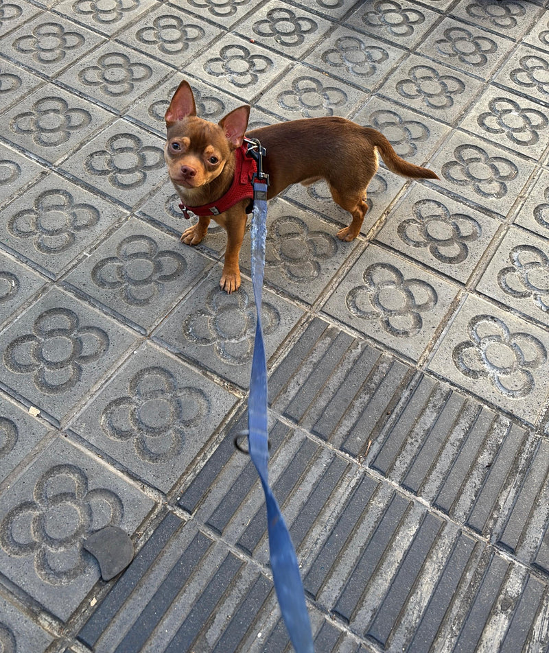 Out & About