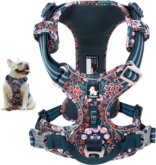 Garden Party Harness