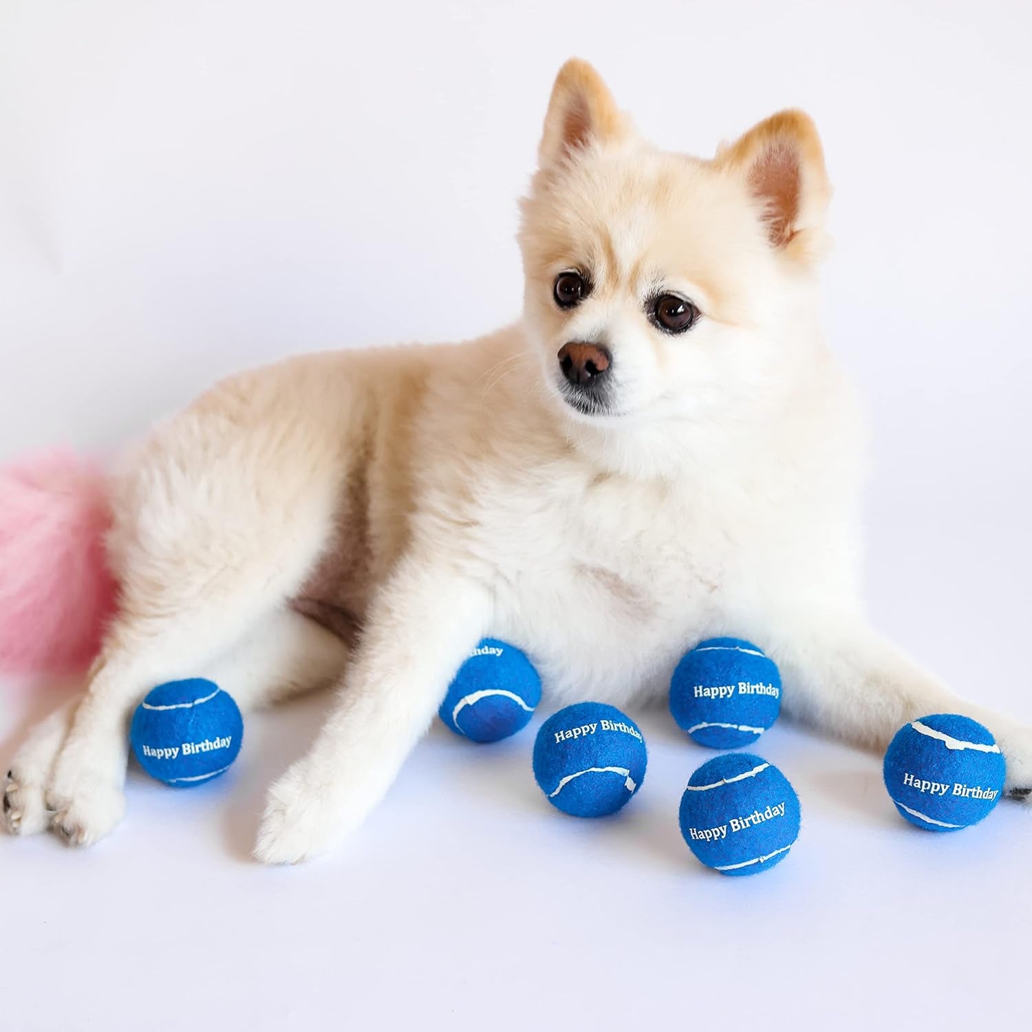 Blue Happy Birthday Dog Tennis Balls