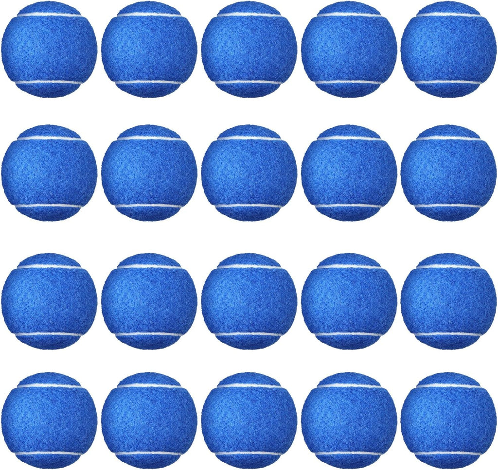 24 Pack Tennis Balls Bulk, Standard Pressure Balls for Training Playing Player Beginner Youth, Exercise Ball for Pet Dog, 2.5 Inch(Blue)