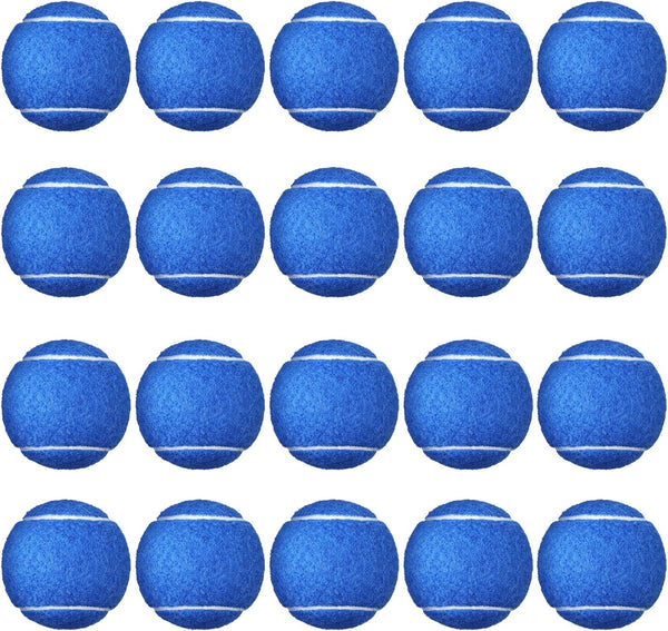 24 Pack Tennis Balls Bulk, Standard Pressure Balls for Training Playing Player Beginner Youth, Exercise Ball for Pet Dog, 2.5 Inch(Blue)